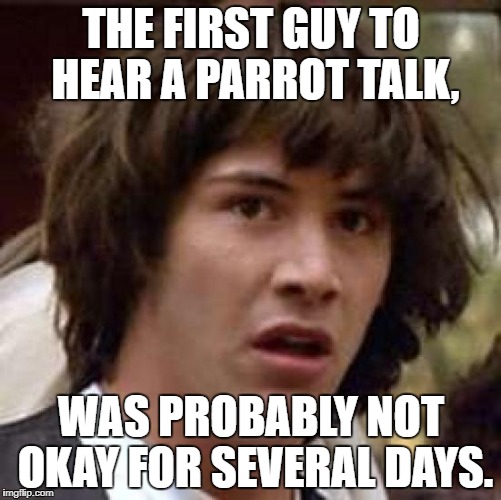 Conspiracy Keanu Meme | THE FIRST GUY TO HEAR A PARROT TALK, WAS PROBABLY NOT OKAY FOR SEVERAL DAYS. | image tagged in memes,conspiracy keanu | made w/ Imgflip meme maker
