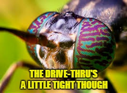 THE DRIVE-THRU'S A LITTLE TIGHT THOUGH | made w/ Imgflip meme maker