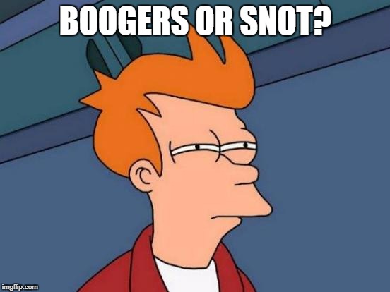 Futurama Fry | BOOGERS OR SNOT? | image tagged in memes,futurama fry | made w/ Imgflip meme maker