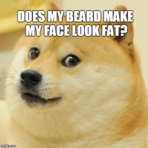 Doge Meme | DOES MY BEARD MAKE MY FACE LOOK FAT? | image tagged in memes,doge | made w/ Imgflip meme maker