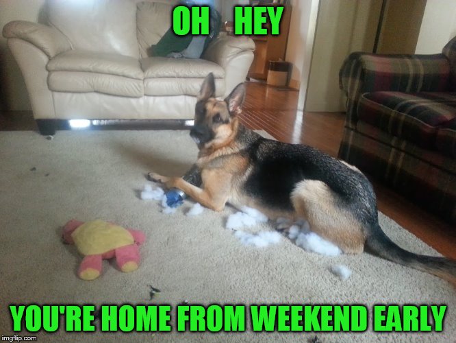 OH    HEY YOU'RE HOME FROM WEEKEND EARLY | made w/ Imgflip meme maker