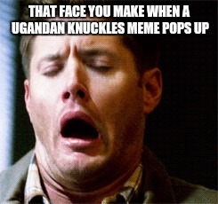 Dean Supernatural | THAT FACE YOU MAKE WHEN A UGANDAN KNUCKLES MEME POPS UP | image tagged in dean supernatural | made w/ Imgflip meme maker