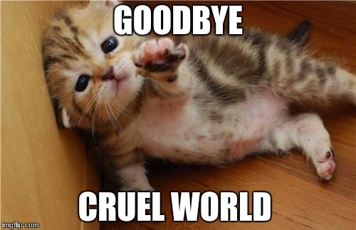 Help Me Kitten | GOODBYE; CRUEL WORLD | image tagged in help me kitten | made w/ Imgflip meme maker