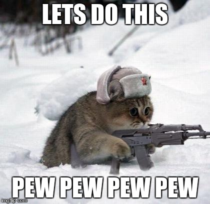 Cute Sad Soviet War Kitten | LETS DO THIS; PEW PEW PEW PEW | image tagged in cute sad soviet war kitten | made w/ Imgflip meme maker