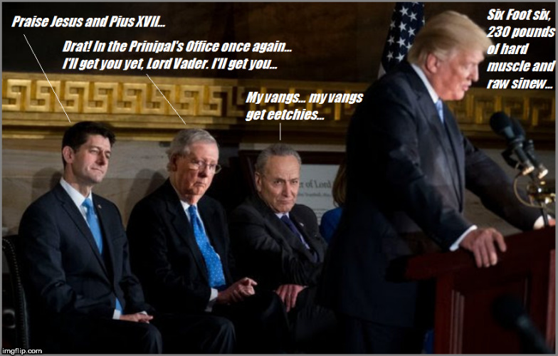 Praise Jesus and Pius XVII | image tagged in trump,donald trump,paul ryan,mitch mcconnell,chuck schumer | made w/ Imgflip meme maker
