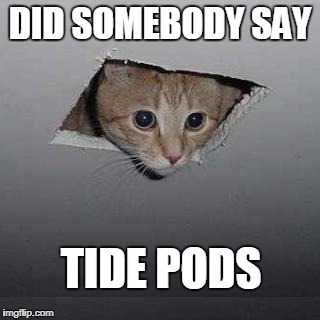 Ceiling Cat Meme | DID SOMEBODY SAY; TIDE PODS | image tagged in memes,ceiling cat | made w/ Imgflip meme maker