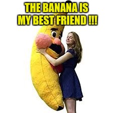 Best Friend | THE BANANA IS MY BEST FRIEND !!! | image tagged in banana | made w/ Imgflip meme maker