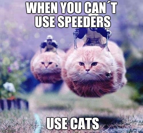 star wars cats | WHEN YOU CAN´T USE SPEEDERS; USE CATS | image tagged in star wars cats | made w/ Imgflip meme maker