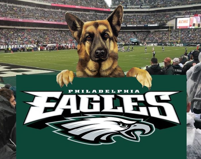 High Quality Eagles underdog Blank Meme Template