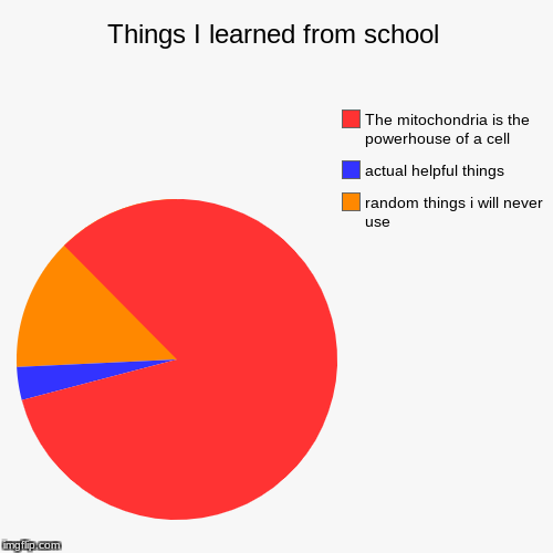 Things I learned from school | random things i will never use, actual helpful things, The mitochondria is the powerhouse of a cell | image tagged in funny,pie charts | made w/ Imgflip chart maker