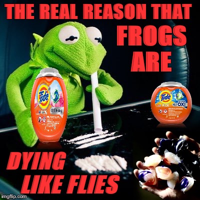 When eating tide pods just didn't cut it anymore | THE REAL REASON THAT; FROGS ARE; DYING; LIKE FLIES | image tagged in frogs,beautiful nature,tide pods,depressed kermit,planet earth,animal meme | made w/ Imgflip meme maker