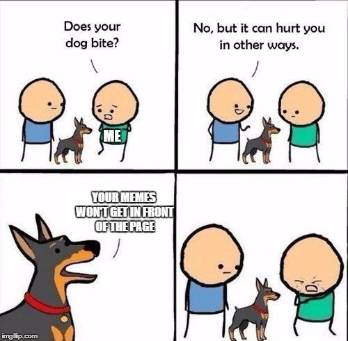 i'm not asking for it but i was bored | ME; YOUR MEMES WON'T GET IN FRONT OF THE PAGE | image tagged in does your dog bite,memes | made w/ Imgflip meme maker