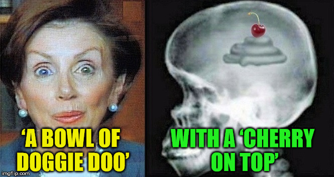 Pelosi's  Brain - From “Crumbs” to “Doggie Doo” | WITH A ‘CHERRY ON TOP’; ‘A BOWL OF DOGGIE DOO’ | image tagged in pelosi brain,memes,nancy pelosi,mental illness,what if i told you,brain dead | made w/ Imgflip meme maker