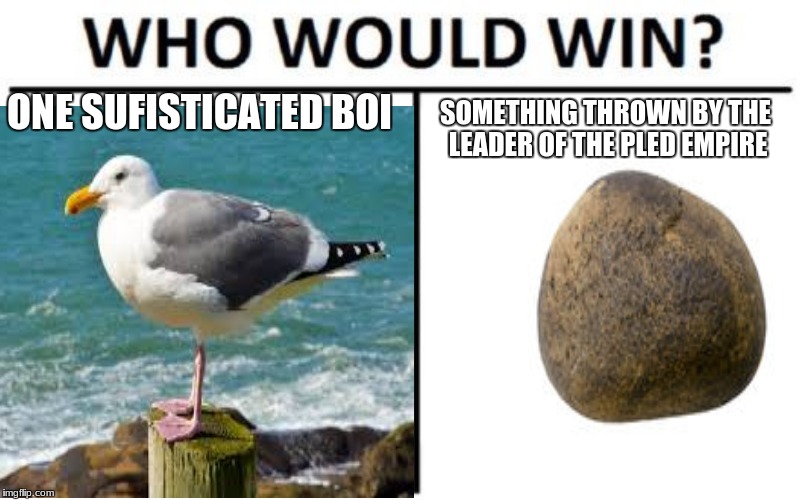 ONE SUFISTICATED BOI; SOMETHING THROWN BY THE LEADER OF THE PLED EMPIRE | image tagged in meme | made w/ Imgflip meme maker