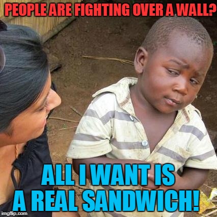 Third World Skeptical Kid Meme | PEOPLE ARE FIGHTING OVER A WALL? ALL I WANT IS A REAL SANDWICH! | image tagged in memes,third world skeptical kid | made w/ Imgflip meme maker