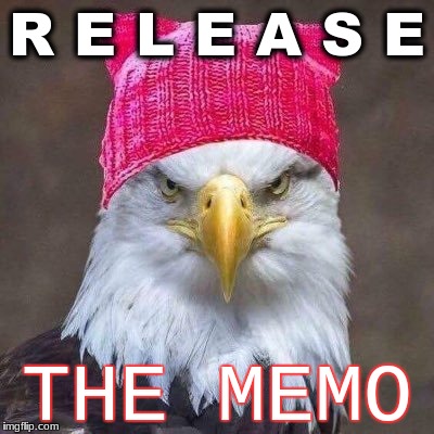 truth-time | R E L E A S E; THE MEMO | image tagged in government | made w/ Imgflip meme maker