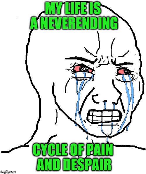 MY LIFE IS A NEVERENDING CYCLE OF PAIN AND DESPAIR | made w/ Imgflip meme maker