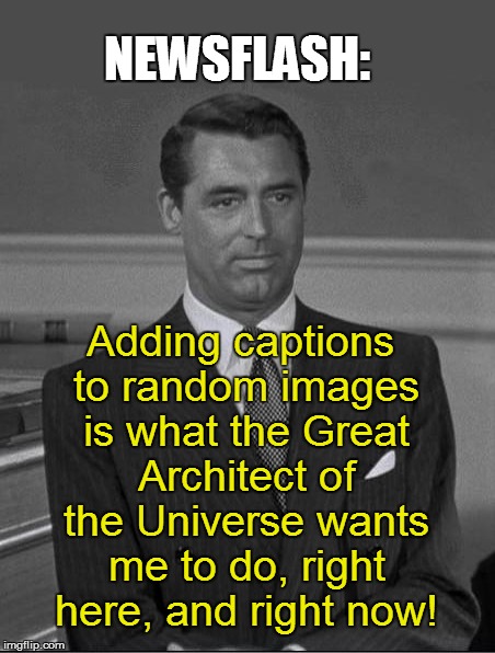 NEWSFLASH: Adding captions to random images is what the Great Architect of the Universe wants me to do, right here, and right now! | made w/ Imgflip meme maker