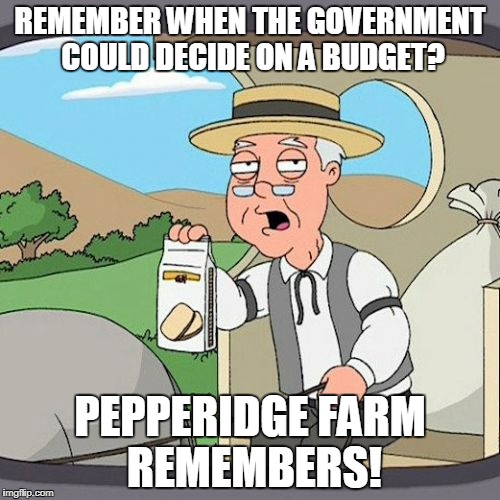 Pepperidge Farm Remembers Meme | REMEMBER WHEN THE GOVERNMENT COULD DECIDE ON A BUDGET? PEPPERIDGE FARM REMEMBERS! | image tagged in memes,pepperidge farm remembers | made w/ Imgflip meme maker