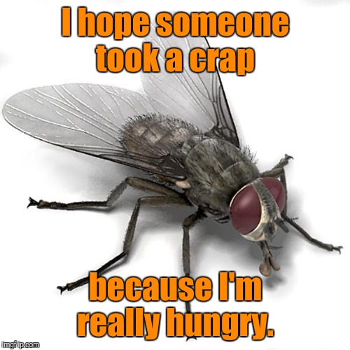 I hope someone took a crap because I'm really hungry. | made w/ Imgflip meme maker