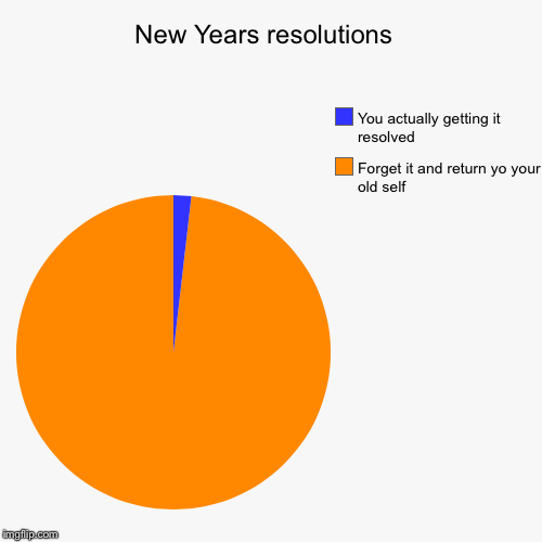 New Years resolutions  | Forget it and return yo your old self, You actually getting it resolved | image tagged in funny,pie charts | made w/ Imgflip chart maker