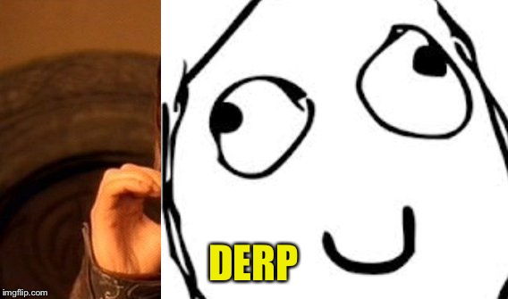 DERP | made w/ Imgflip meme maker