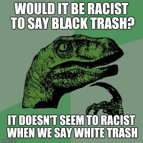 Philosoraptor | WOULD IT BE RACIST TO SAY BLACK TRASH? IT DOESN'T SEEM TO RACIST WHEN WE SAY WHITE TRASH | image tagged in memes,philosoraptor | made w/ Imgflip meme maker