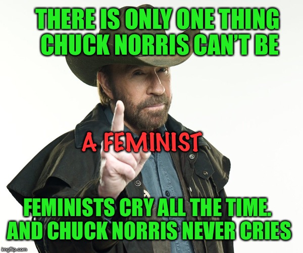He didn’t even cry as a baby when he was born. He escaped out of his mom with a roundhouse kick | THERE IS ONLY ONE THING CHUCK NORRIS CAN’T BE; A FEMINIST; FEMINISTS CRY ALL THE TIME. AND CHUCK NORRIS NEVER CRIES | image tagged in chuck norris,feminism,unbreaklp,feminist crying,powermetalhead is my only idea for an extra tag | made w/ Imgflip meme maker