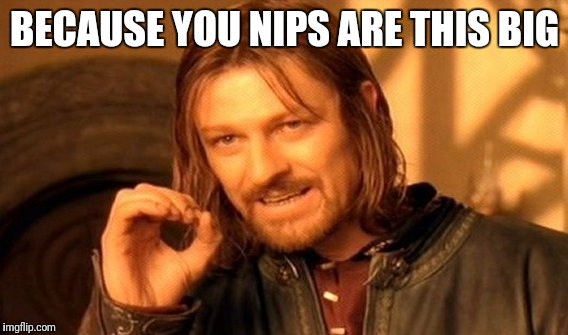 One Does Not Simply Meme | BECAUSE YOU NIPS ARE THIS BIG | image tagged in memes,one does not simply | made w/ Imgflip meme maker