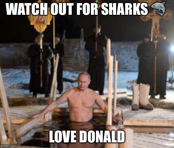 WATCH OUT FOR SHARKS 🦈; LOVE DONALD | image tagged in donald trump,vladimir putin,sharks | made w/ Imgflip meme maker