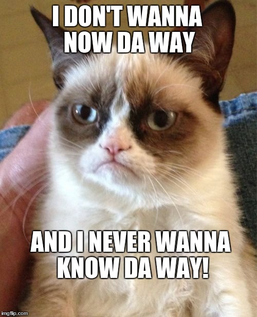 Grumpy Cat Meme | I DON'T WANNA NOW DA WAY; AND I NEVER WANNA KNOW DA WAY! | image tagged in memes,grumpy cat | made w/ Imgflip meme maker