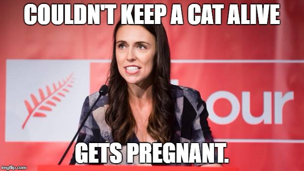 Responsibility  | COULDN'T KEEP A CAT ALIVE; GETS PREGNANT. | image tagged in jacinda ardern,new zealand,liberal logic,hypocritical feminist,feminism is cancer | made w/ Imgflip meme maker