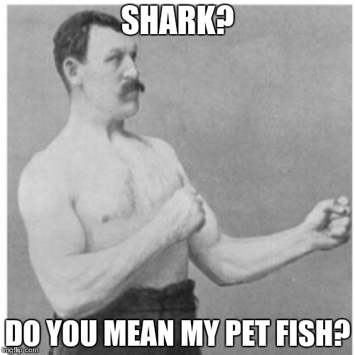 Overly Manly Man Meme | SHARK? DO YOU MEAN MY PET FISH? | image tagged in memes,overly manly man | made w/ Imgflip meme maker