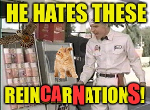 HE HATES THESE REINCARNATIONS! CA N S | made w/ Imgflip meme maker