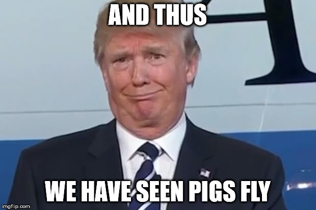donald trump |  AND THUS; WE HAVE SEEN PIGS FLY | image tagged in donald trump | made w/ Imgflip meme maker