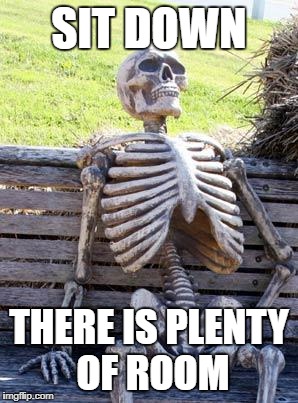 Waiting Skeleton Meme | SIT DOWN; THERE IS PLENTY OF ROOM | image tagged in memes,waiting skeleton | made w/ Imgflip meme maker