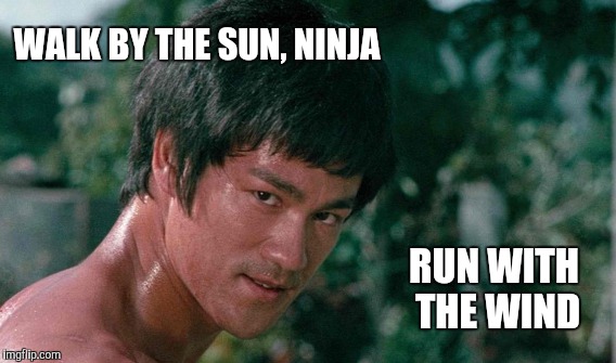 Ancient Secret | WALK BY THE SUN, NINJA; RUN WITH THE WIND | image tagged in funny,memes,gifs,bruce lee,animals,love | made w/ Imgflip meme maker