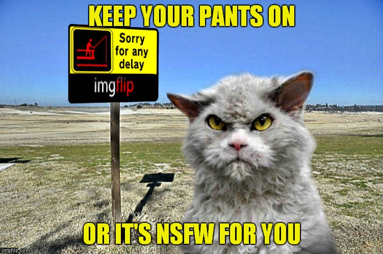 Just in case... | KEEP YOUR PANTS ON; OR IT'S NSFW FOR YOU | image tagged in imgflip sorry with pompous cat | made w/ Imgflip meme maker