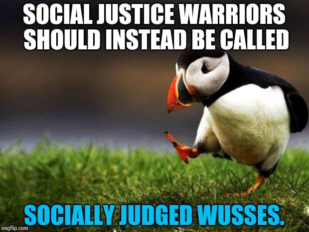 SJW's nowadays are being more and more of a problem. | SOCIAL JUSTICE WARRIORS SHOULD INSTEAD BE CALLED; SOCIALLY JUDGED WUSSES. | image tagged in memes,unpopular opinion puffin,truth hurts,funny | made w/ Imgflip meme maker
