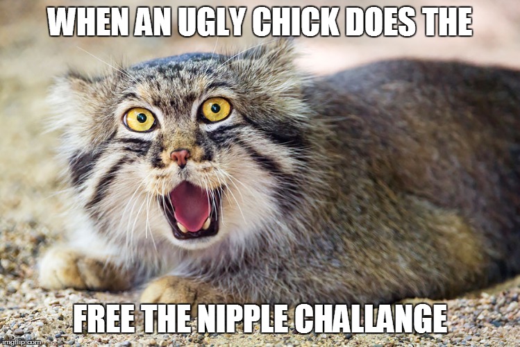 WHEN AN UGLY CHICK DOES THE; FREE THE NIPPLE CHALLANGE | image tagged in shocked manul | made w/ Imgflip meme maker