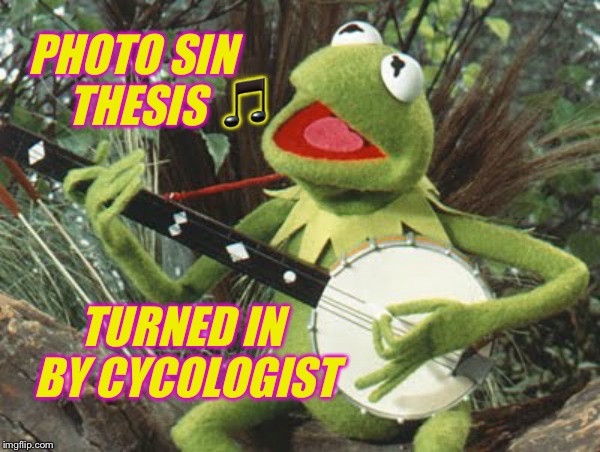 PHOTO SIN THESIS TURNED IN BY CYCOLOGIST  | made w/ Imgflip meme maker