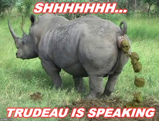Speech by Justin Trudeau | SHHHHHHH... TRUDEAU IS SPEAKING | image tagged in rino,justin trudeau,trudeau | made w/ Imgflip meme maker