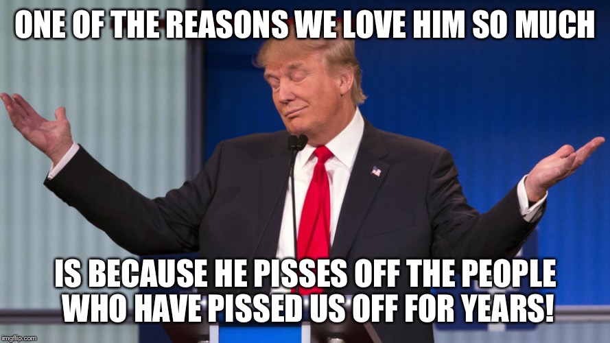 ONE OF THE REASONS WE LOVE HIM SO MUCH IS BECAUSE HE PISSES OFF THE PEOPLE WHO HAVE PISSED US OFF FOR YEARS! | made w/ Imgflip meme maker