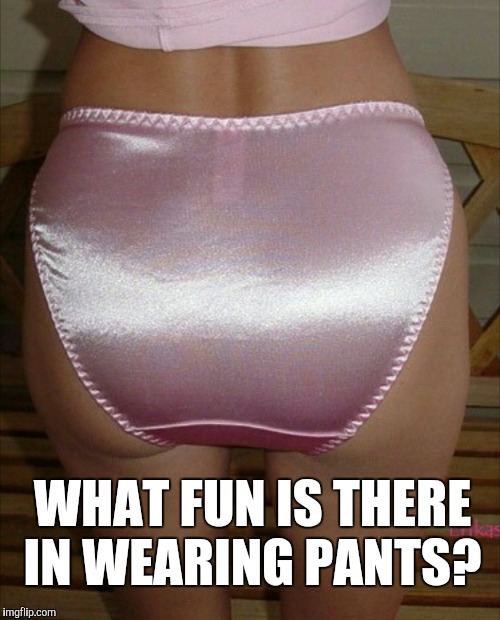 WHAT FUN IS THERE IN WEARING PANTS? | made w/ Imgflip meme maker