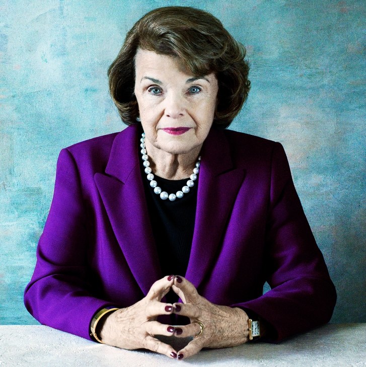 feinstein Blank Meme Template