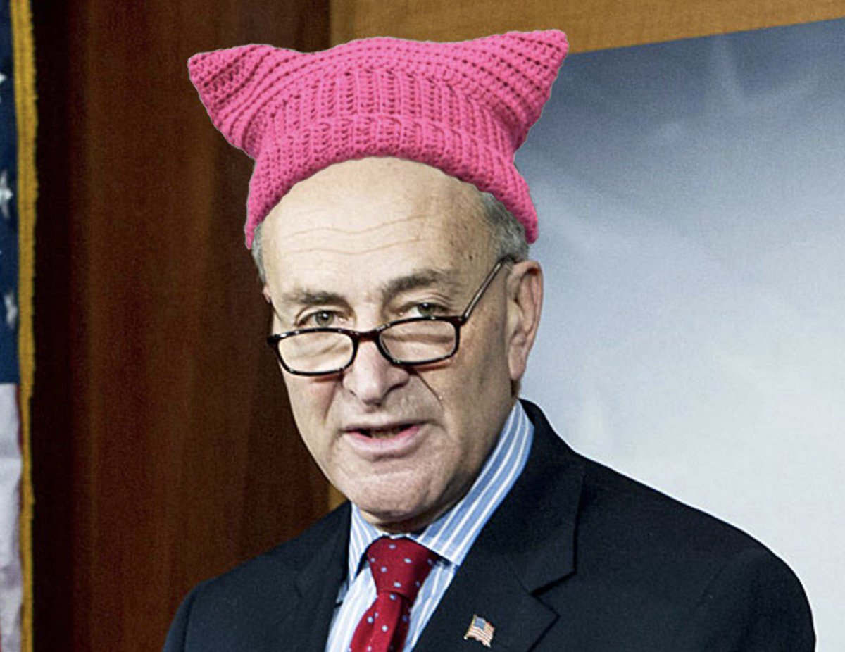 High Quality Schumer pink pussy hat Blank Meme Template