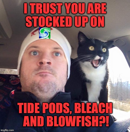 I TRUST YOU ARE STOCKED UP ON TIDE PODS, BLEACH AND BLOWFISH?! | made w/ Imgflip meme maker