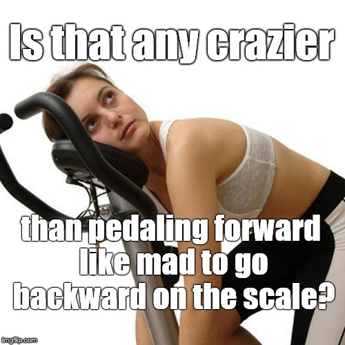 New Year's exercise resolution | Is that any crazier than pedaling forward like mad to go backward on the scale? | image tagged in new year's exercise resolution | made w/ Imgflip meme maker