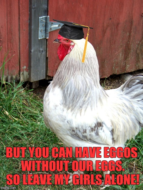 BUT YOU CAN HAVE EGGOS WITHOUT OUR EGGS. SO LEAVE MY GIRLS ALONE! | made w/ Imgflip meme maker