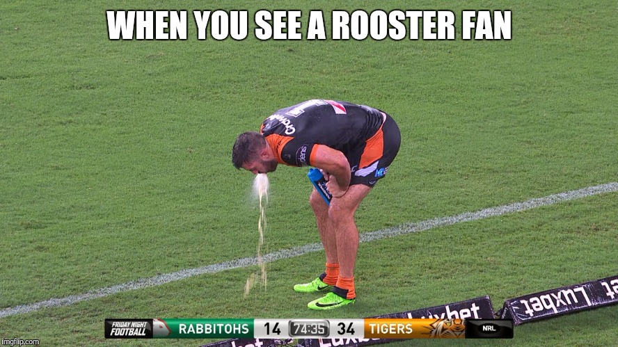 Funny | WHEN YOU SEE A ROOSTER FAN | image tagged in funny memes | made w/ Imgflip meme maker